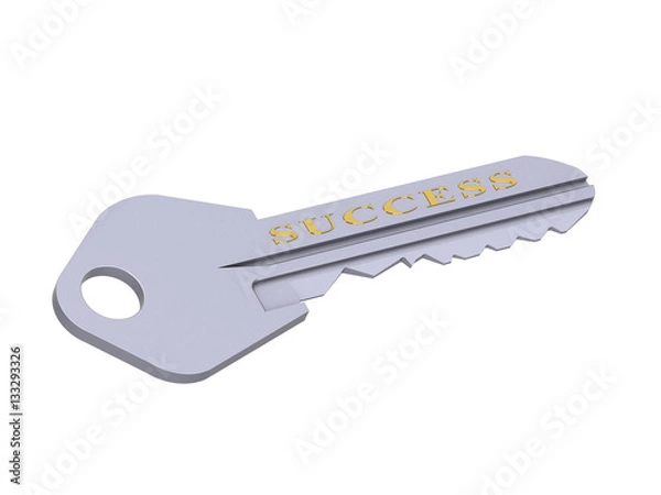 Obraz The 3D illustration a silver key for success, opens access to success.