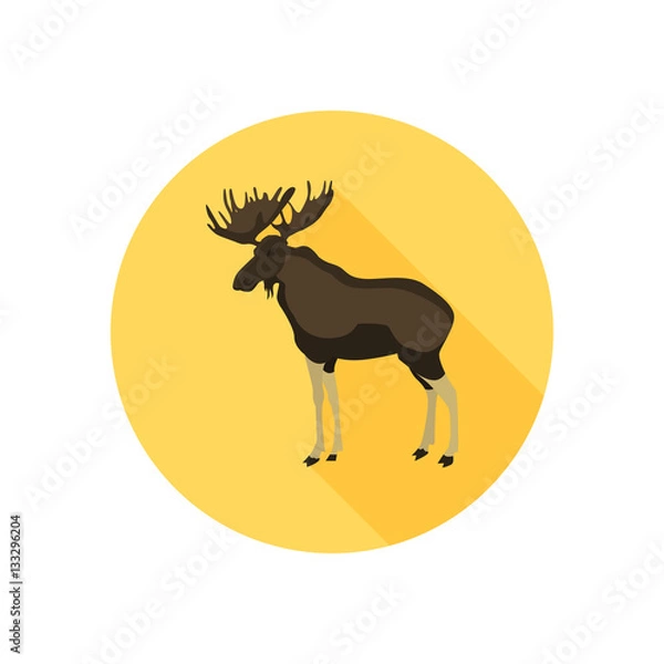 Fototapeta Forest elk color flat icon for web and mobile design