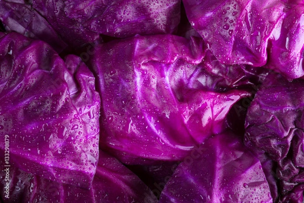 Obraz Purple cabbage background.