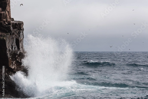 Obraz Newfoundland Harbour