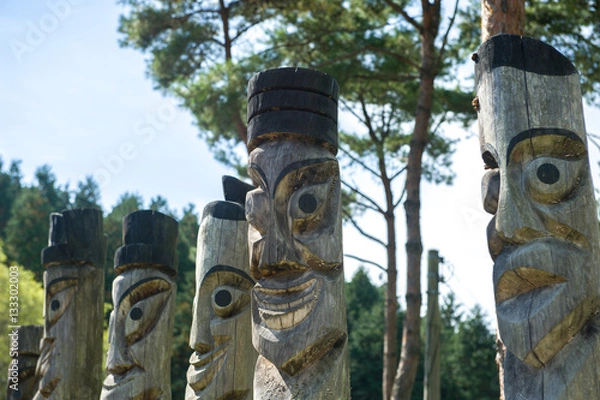 Obraz jangseungs with the pine trees