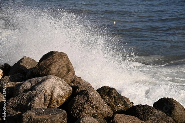 Obraz Waves on the rocks