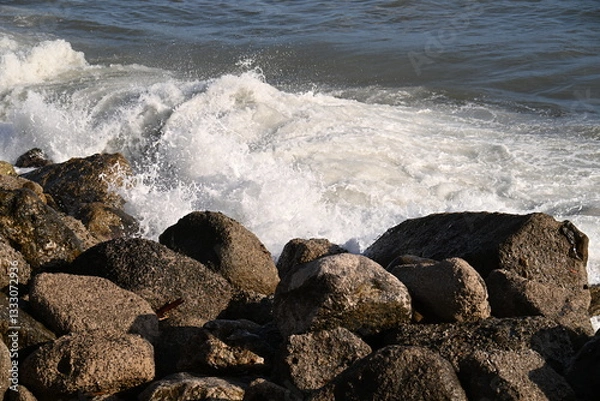 Obraz Waves on the rocks