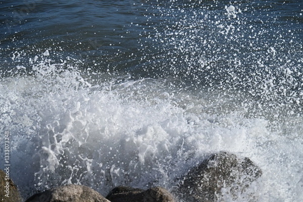 Obraz Waves on the rocks