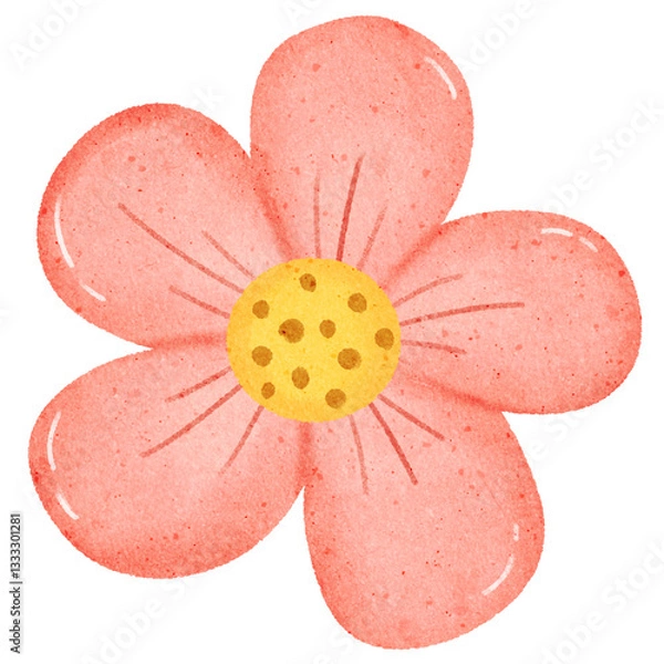 Fototapeta pink daisy flower