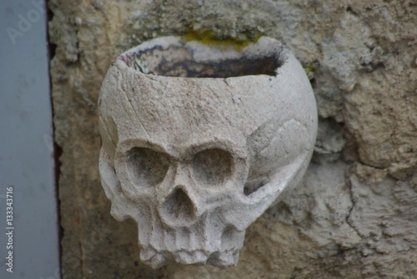 Obraz stone skull