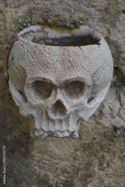 Obraz stone skull