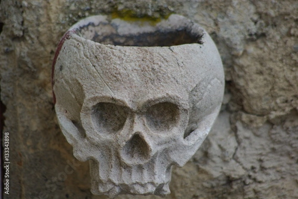 Obraz stone skull