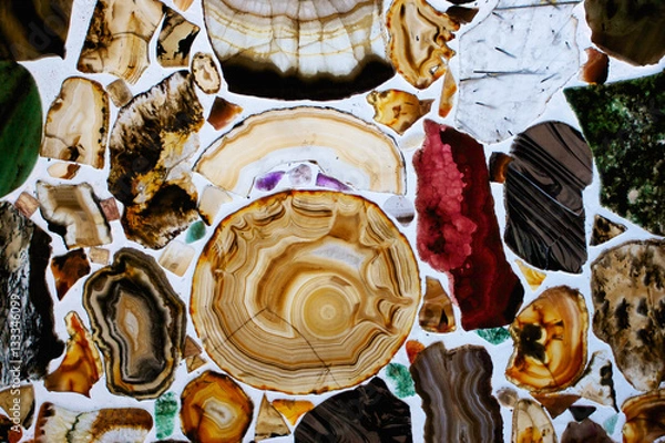 Obraz Window of shells