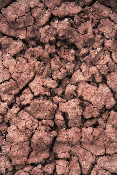 Fototapeta A close-up view of dry, cracked red earth, revealing intricate textures that tell a story of drought, resilience, and the beauty of arid landscapes in a captivating manner.