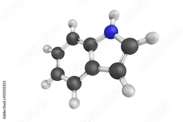 Fototapeta Indole regulates various aspects of bacterial physiology, includ
