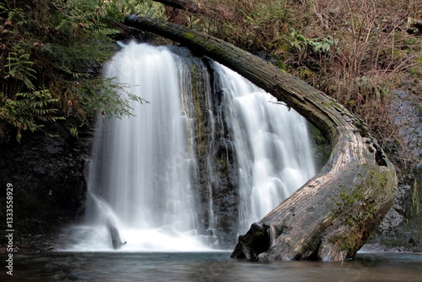 Fototapeta A serene waterfall flows gracefully over a mossy log, surrounded by vibrant greenery, showcasing the beauty of nature and its tranquil, soothing qualities.