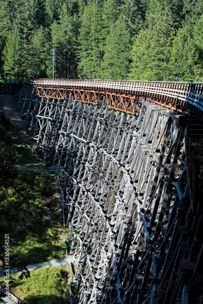Fototapeta A striking view of a wooden bridge structure elegantly arching over diverse foliage, exemplifying intricate craftsmanship and the synergy between nature and human engineering.