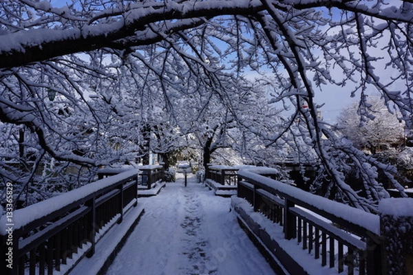 Fototapeta 大垣水門川住吉灯台