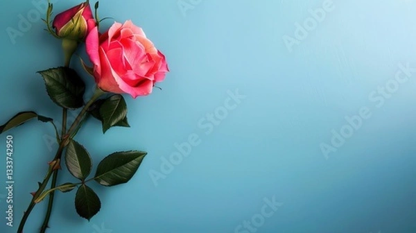 Fototapeta Labor Day Rose Background: A Unique Scenery Blending Romance and Respect