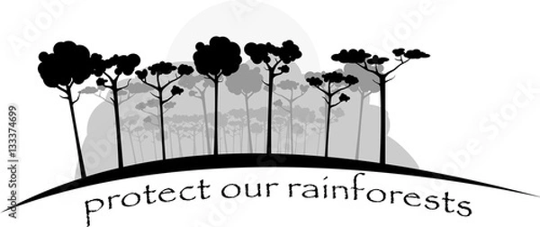 Obraz Rainforests in gray colors