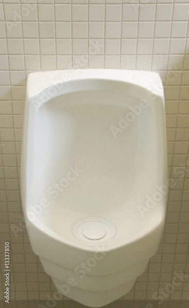 Fototapeta Waterless Urnial