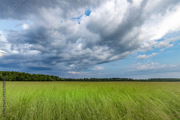 Fototapeta A field of grass with a cloudy sky in the background