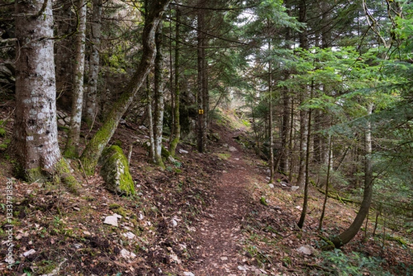 Fototapeta Trail path leading to red rock viewing point above Elati village, Trikala, Greece