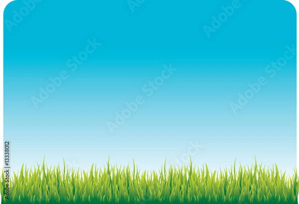 Obraz clear vlue sky and green grass