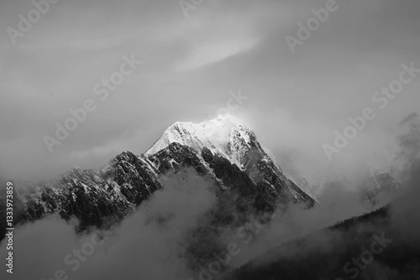 Obraz snow covered mountains