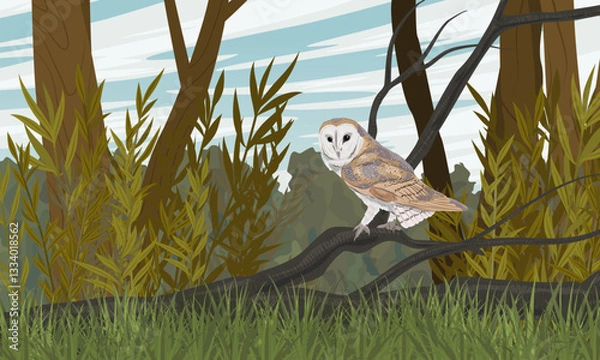 Fototapeta Barn owl sitting on a branch in the forest. Realistic vector landscape