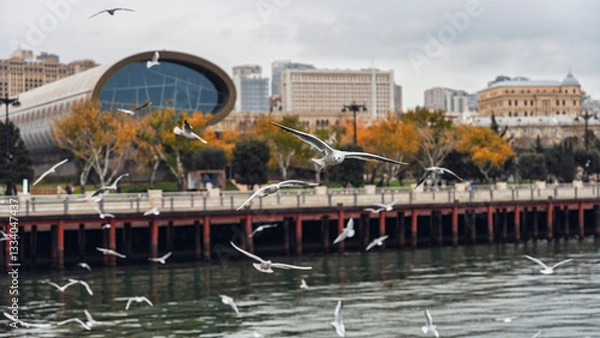 Obraz View of the Baku boulevard with seagulls in the foreground.