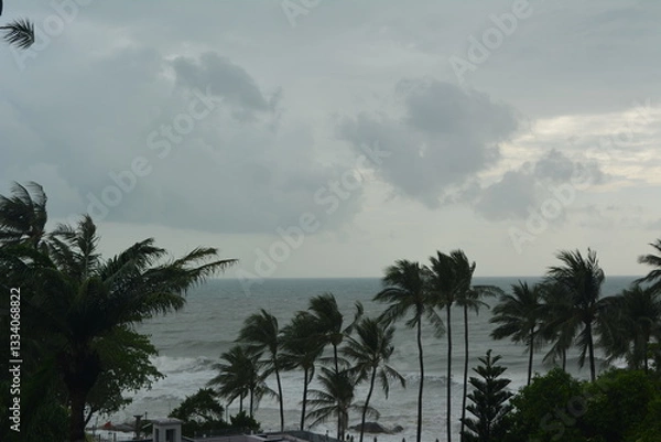 Fototapeta Dark storm clouds in the sky and palm trees bending under the squall wind during a tropical storm on the Andaman Sea.