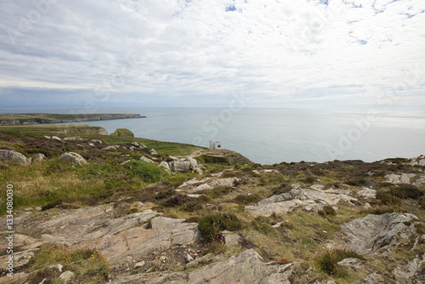 Obraz Landscape on the coast of Holy Island, Wales.