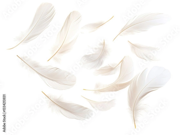 Obraz Isolated Group of Soft White Feathers Floating in Air