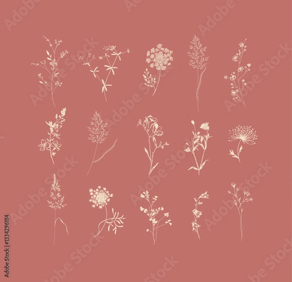 Obraz Flowers herbs ears of grass growing in the garden and meadow drawing with beige on coral background