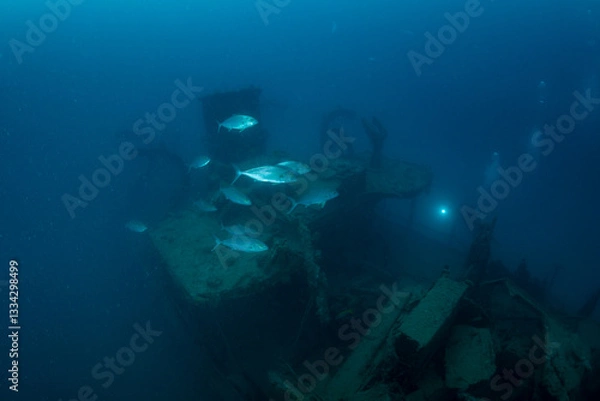 Fototapeta 駆潜艇　小笠原　東京