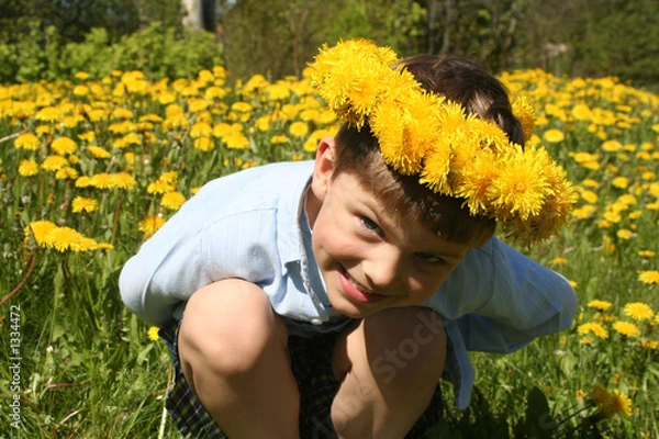 Obraz child and dandelions
