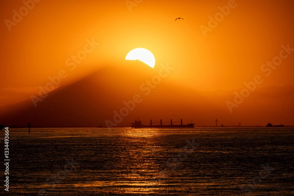 Fototapeta 東京湾の海の向こうに見えるダイヤモンド富士と飛ぶ鳥と行き交う船を千葉から撮影