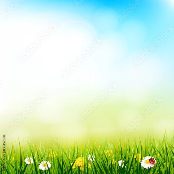 Fototapeta Spring sunny background
