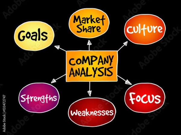 Fototapeta Company analysis mind map business concept