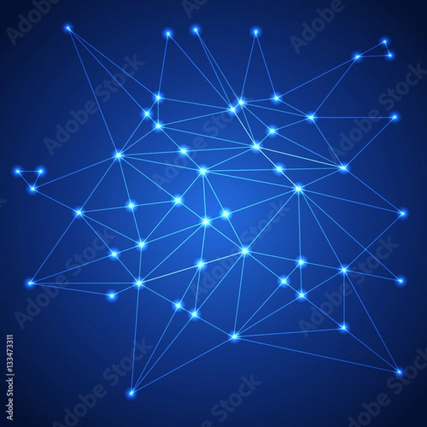 Obraz Network. Connection concept. Vector illustration.
