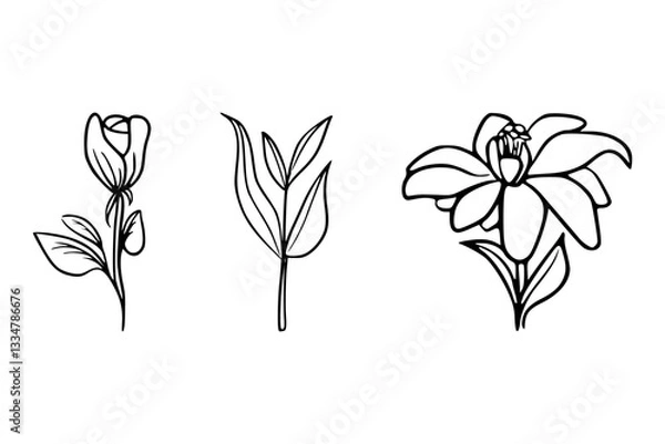 Fototapeta Minimalist Black and White Wildflower Line Art Vector, Set of Hand-Sketched Wildflower Botanical Line Art, Minimalist Wildflower Sketch