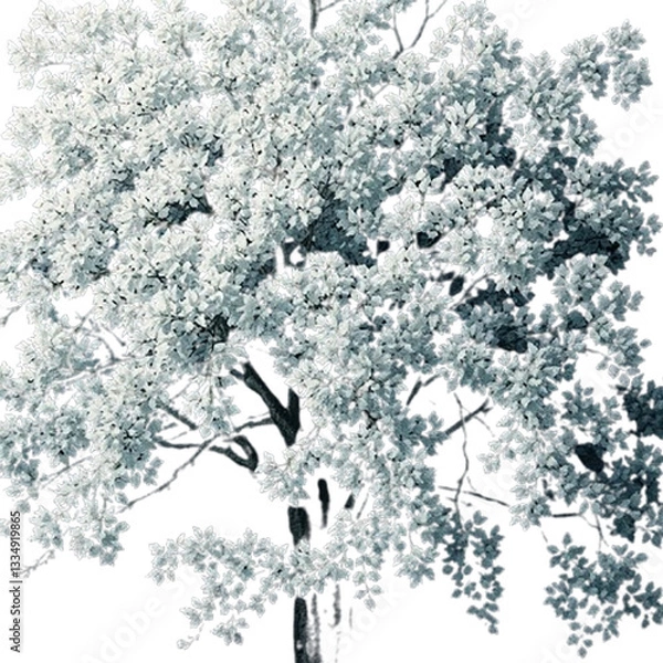 Fototapeta vector illustration of an abstract background