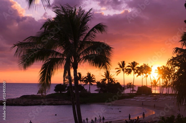Obraz ハワイの夕景
