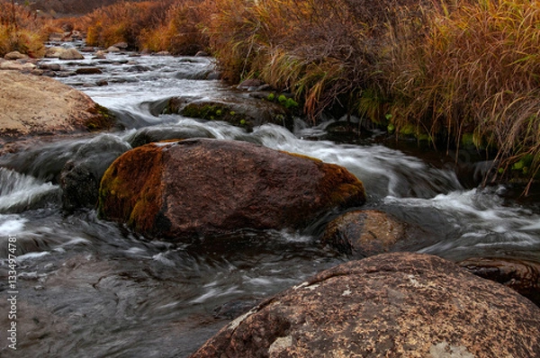 Fototapeta stream in the forest