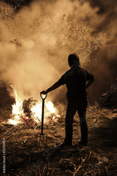 Obraz Garden bonfire