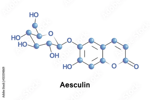 Fototapeta Aesculin is a coumarin glucoside that naturally occurs in the horse chestnut, California buckeye, Prickly Box and in daphnin. It is also found in dandelion coffee.