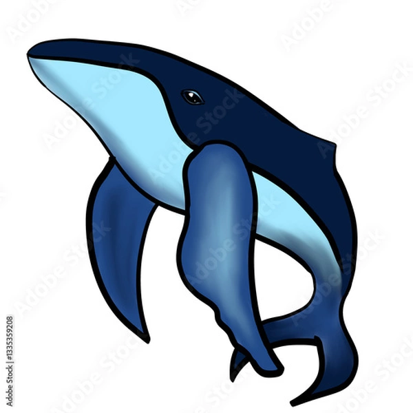 Obraz Blue Whale isolated on white