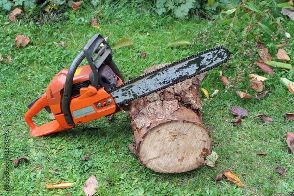 Obraz Tronçonneuse sur un rondin