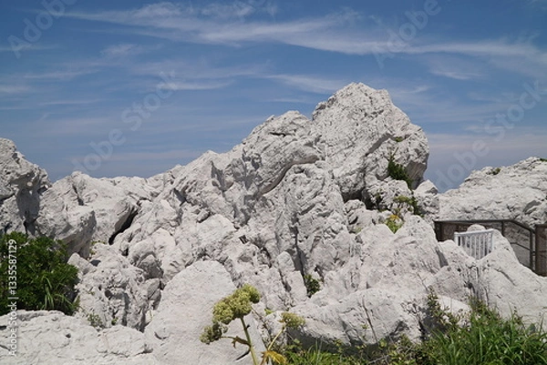 Fototapeta 白崎海洋公園