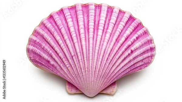 Obraz Vibrant Purple Seashell on White Background