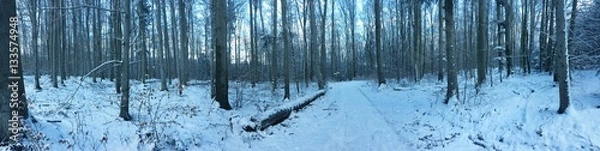 Obraz verschneiter Wald