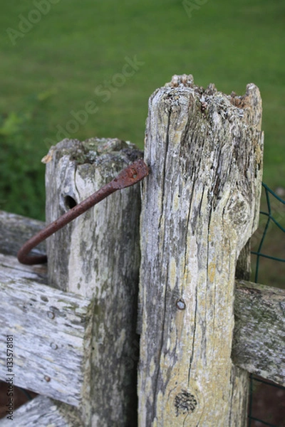 Obraz Old rotting fence gate.