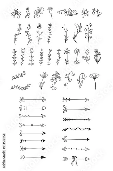 Fototapeta Set of hand drawn elements for design. Doodle arrows, ribbons, borders pack, floral, flowers
